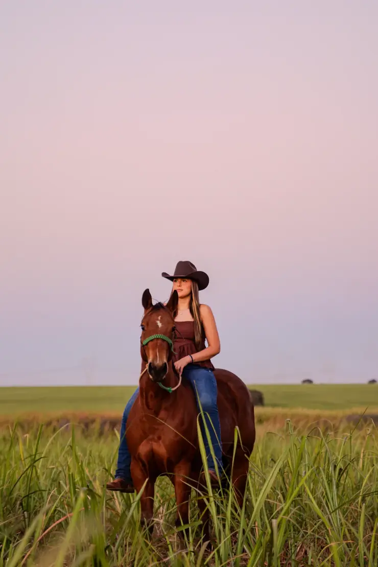 Amazona de chapéu a cavalo no canavial durante o pôr do sol