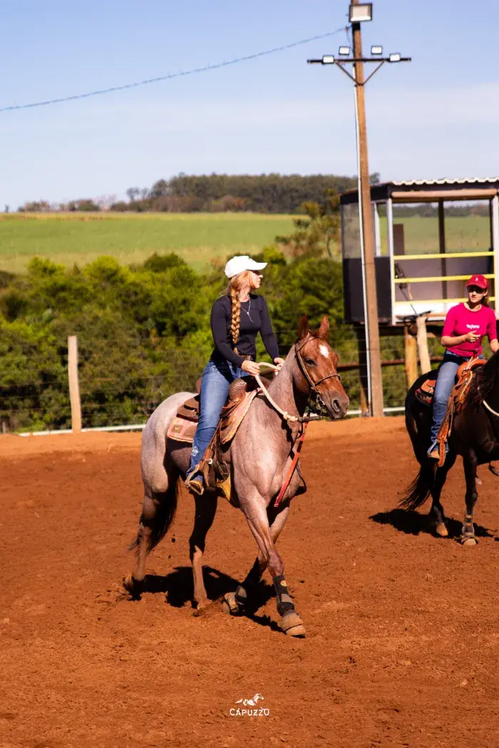 Amazona em cavalo rosilho no redondel de treino