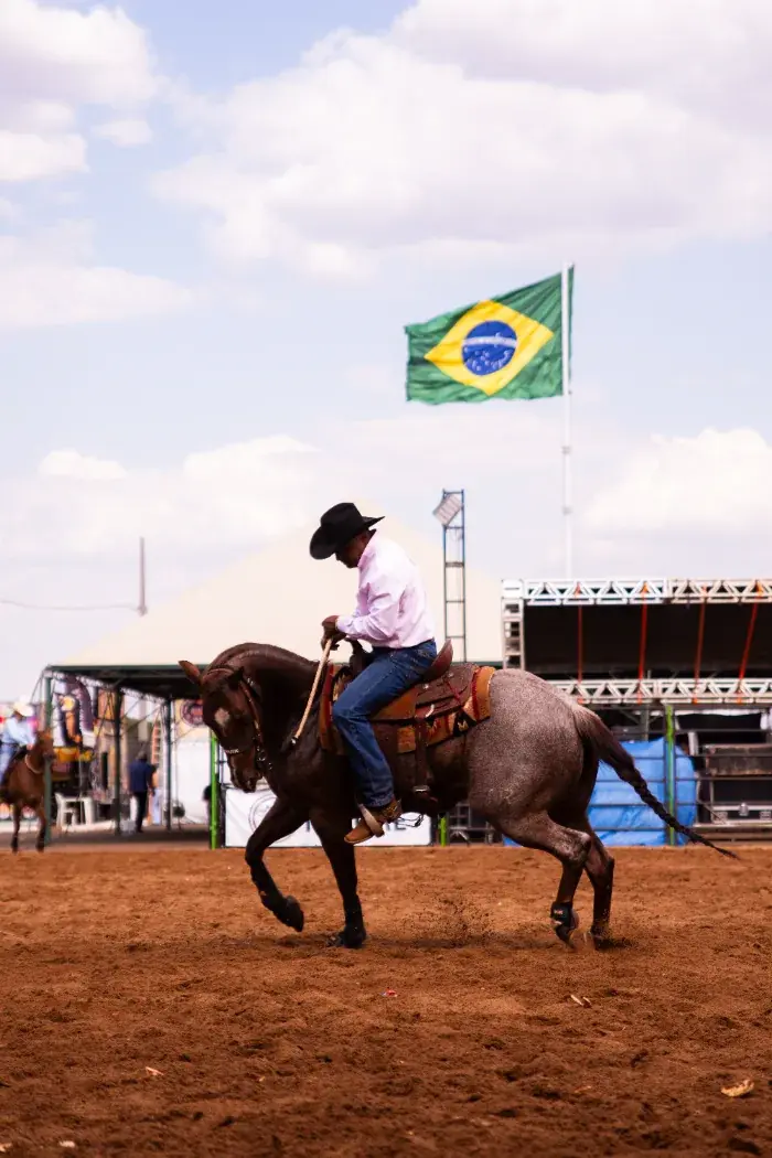 Cavaleiro em prova de rédeas na arena, bandeira do Brasil ao fundo